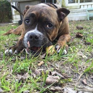 Meet your Posher, Matt